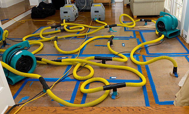 Professional Burst Pipe Water Damage technician working in Comstock Park, MI